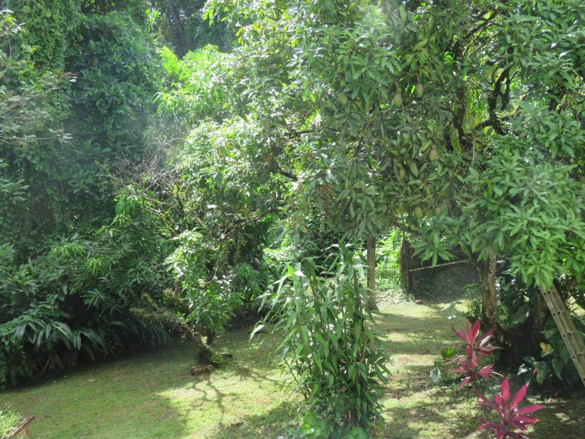Serenity Gros-Morne 外观 照片